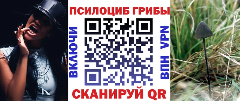 Галлюциногенные грибы Cubensis Лысково